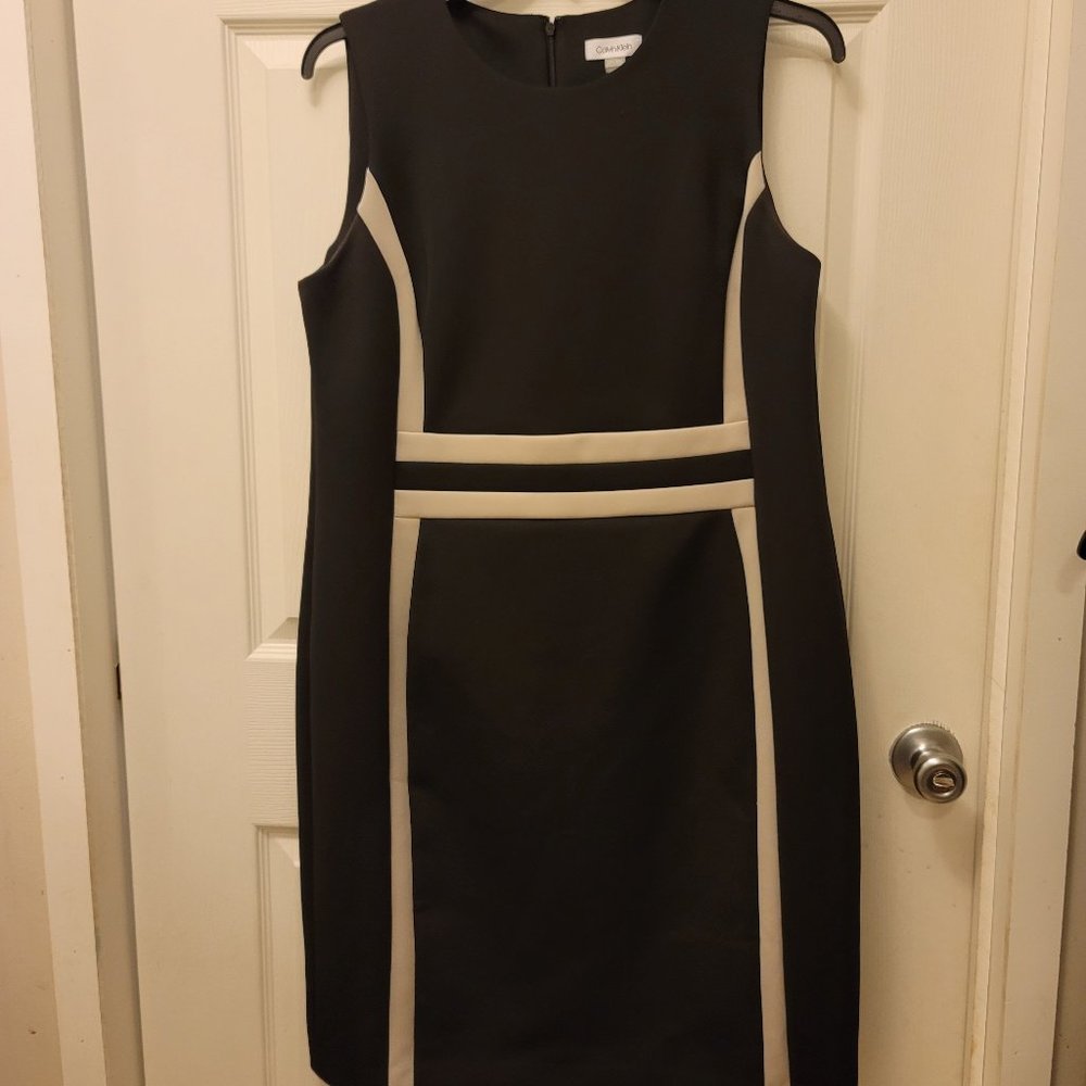 Calvin Klein Bodycon Dress